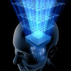 Adventive E-nurturing and Cultivation Programs Adventive E-nurturing and Cultivation Programs